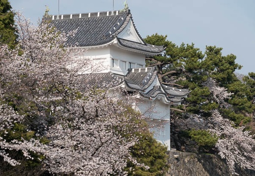 201803261534-DSC01436RX10M4.jpg