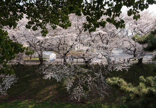 201803261539-DSC01451RX10M4.jpg