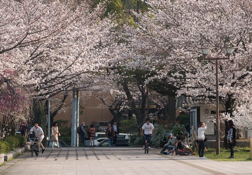 201803261614-DSC01589RX10M4.jpg