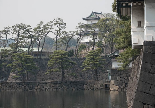201803271154-DSC01864RX10M4.jpg