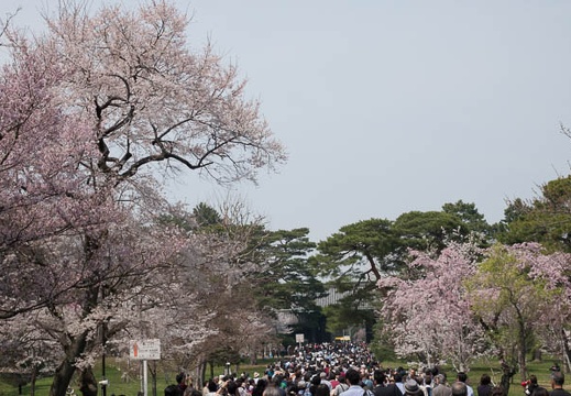 201803271233-DSC01945RX10M4.jpg