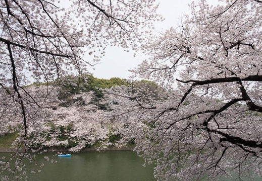 201803271337-DSC02142RX10M4.jpg