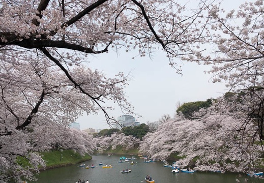 201803271359-DSC02237RX10M4.jpg