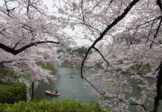 201803271405-DSC02269RX10M4.jpg