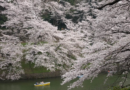 201803271425-DSC02342RX10M4.jpg