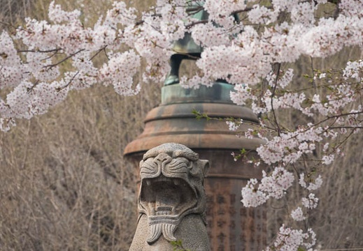 201803271458-DSC02412RX10M4.jpg