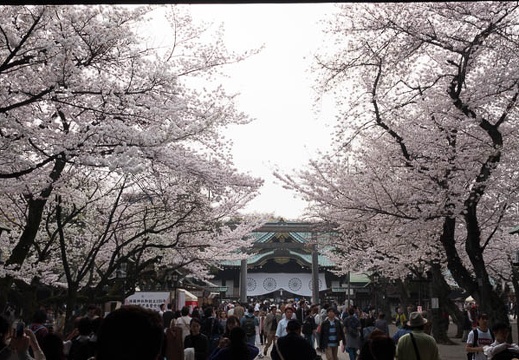 201803271508-DSC02436RX10M4.jpg
