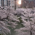 201803271716-DSC02668RX10M4.jpg