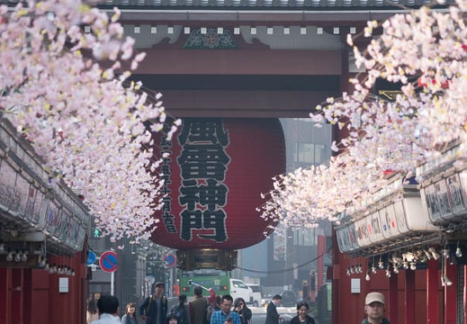 201803280739-DSC03017RX10M4.jpg
