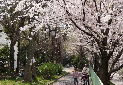 201803291242-DSC04020RX10M4.jpg
