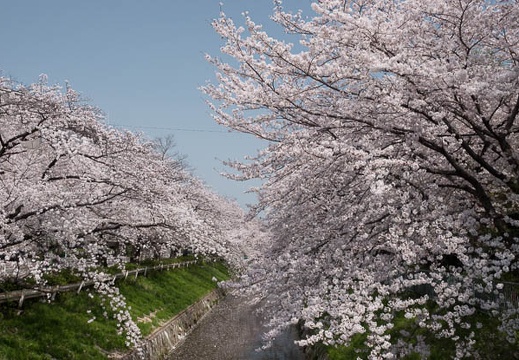 201803291251-DSC04040RX10M4.jpg