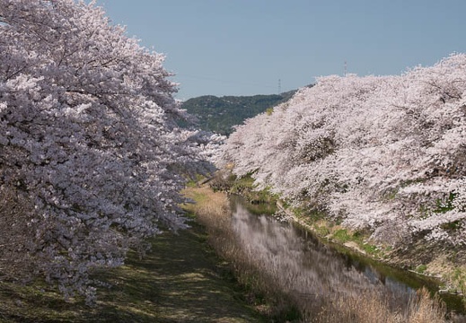 201803301357-DSC05108RX10M4.jpg