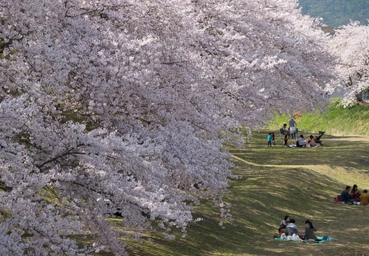 201803301400-DSC05125RX10M4.jpg
