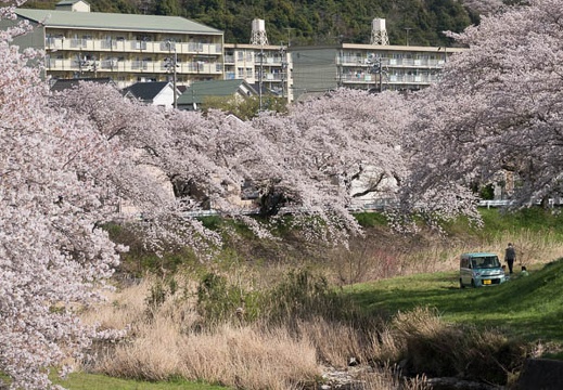 201803301403-DSC05146RX10M4.jpg