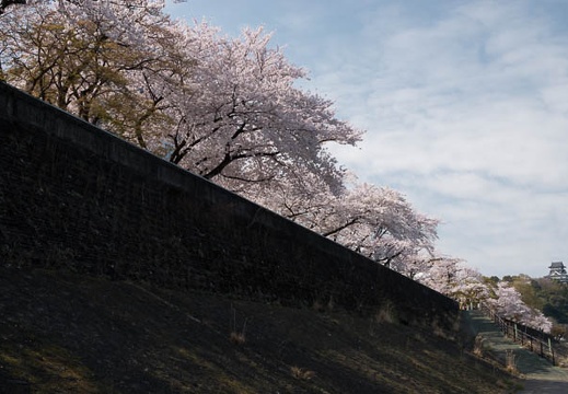 201803310922-DSC05378RX10M4.jpg