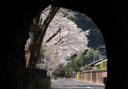 201803311000-DSC05491RX10M4.jpg