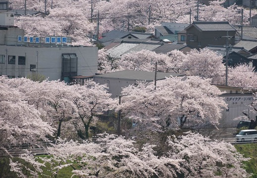 201803311112-DSC05634RX10M4.jpg
