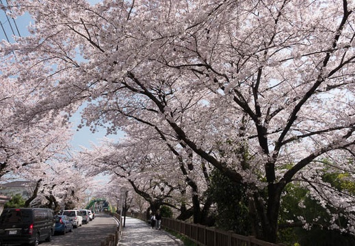 201803311138-DSC05675RX10M4.jpg