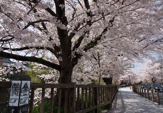 201803311145-DSC05690RX10M4.jpg
