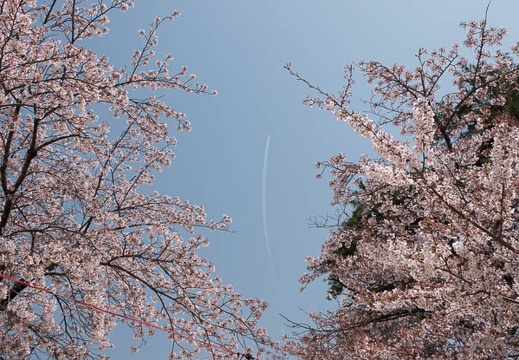 201804011202-DSC06008RX10M4.jpg