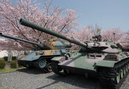 04.01 佐奈川堤の桜