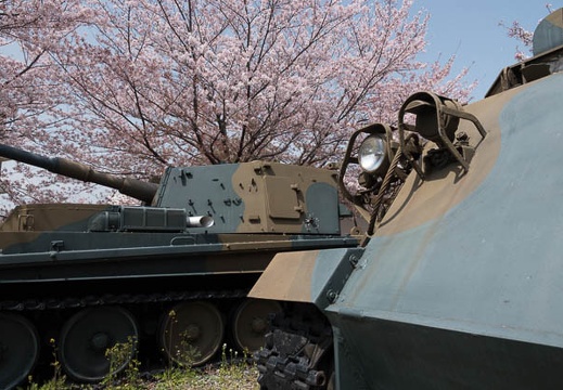 201804011232-DSC06098RX10M4.jpg