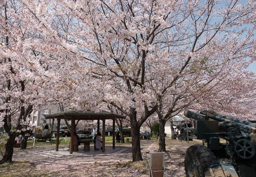 201804011238-DSC06122RX10M4.jpg