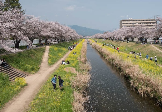 201804011259-DSC06140RX10M4.jpg