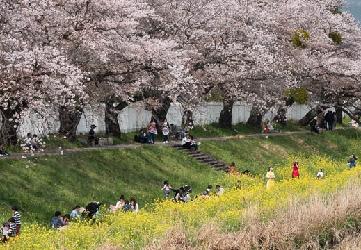 201804011301-DSC06153RX10M4.jpg