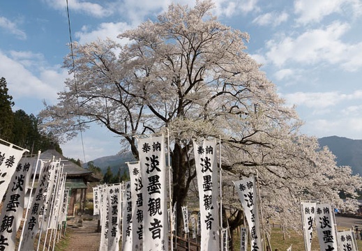 201804040735-DSC06532RX10M4.jpg