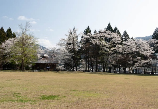 201804040827-DSC06682RX10M4.jpg
