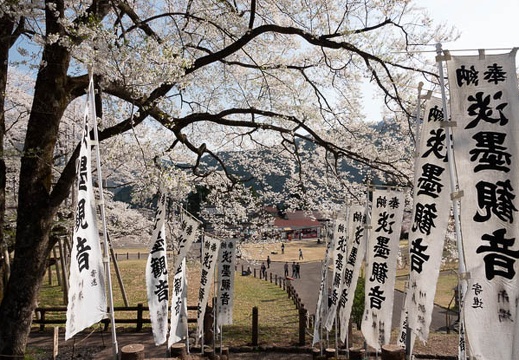 04.04 淡墨公園