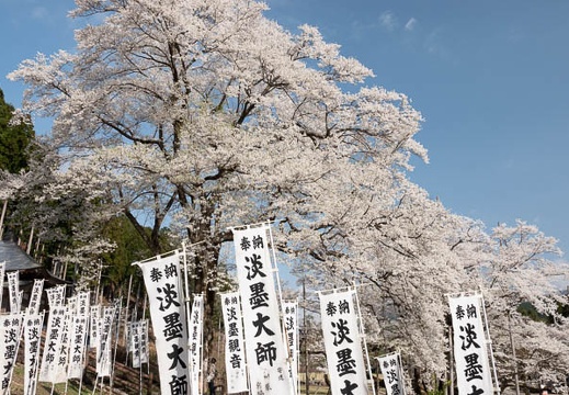 201804040843-DSC06757RX10M4.jpg