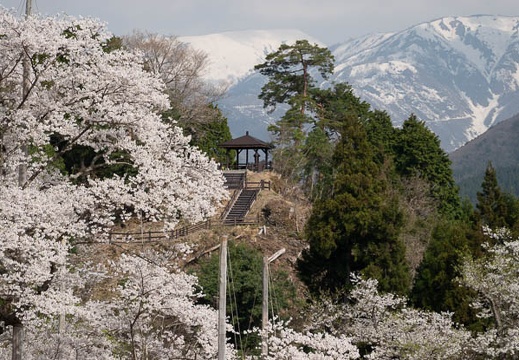 201804040849-DSC06771RX10M4.jpg