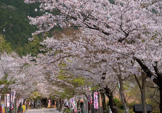 201804040938-DSC06815RX10M4.jpg