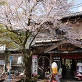 201804041025-DSC06916RX10M4.jpg