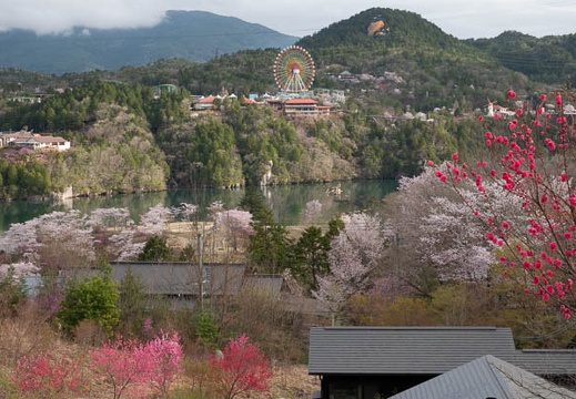 201804050714-DSC07445RX10M4.jpg