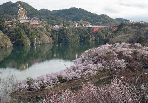 201804050733-DSC07501RX10M4.jpg