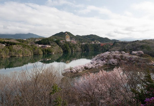 201804050734-DSC07507RX10M4.jpg