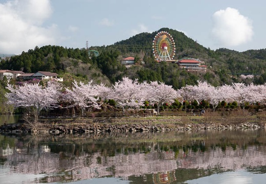 201804050801-DSC07603RX10M4.jpg