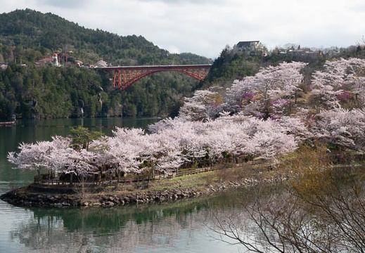 201804050809-DSC07632RX10M4.jpg