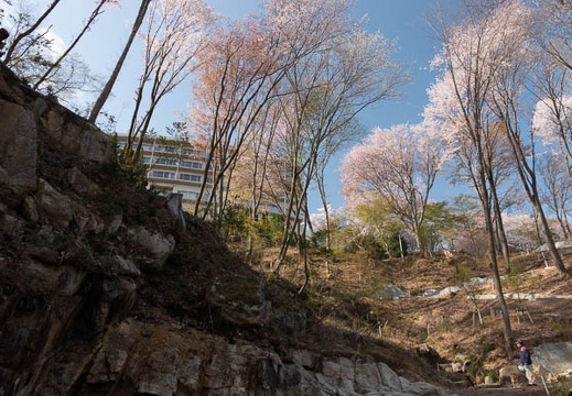 201804050813-DSC07643RX10M4.jpg