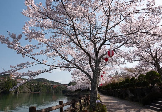 201804050841-DSC07694RX10M4.jpg