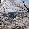 201804101332-DSC08916RX10M4.jpg