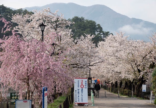 201804120816-DSC09168RX10M4.jpg