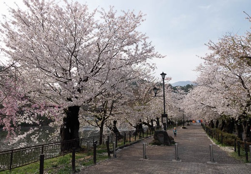 201804120818-DSC09174RX10M4.jpg