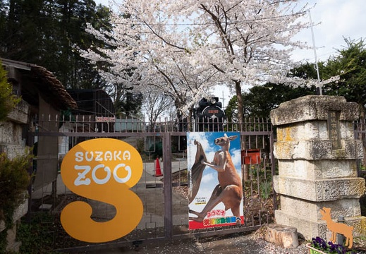 201804120847-DSC09305RX10M4.jpg