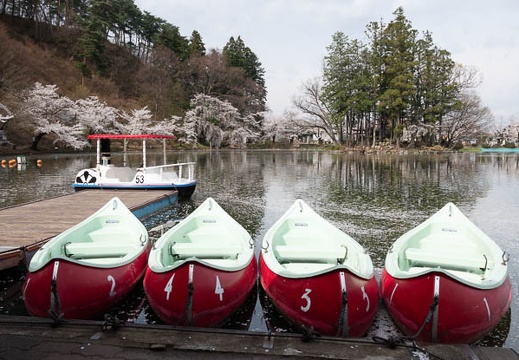 201804120920-DSC09453RX10M4.jpg