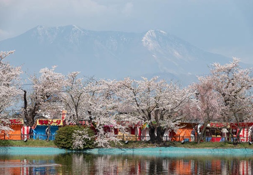 201804120920-DSC09456RX10M4.jpg