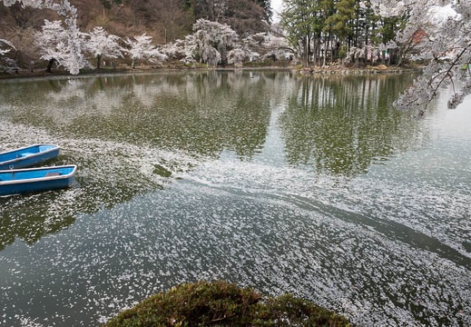 201804120923-DSC09469RX10M4.jpg